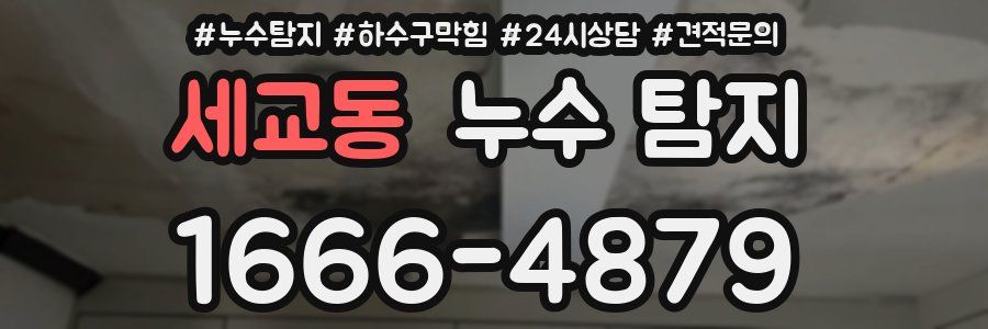 세교동 누수 탐지