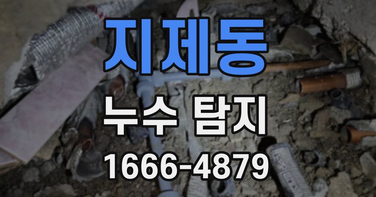 지제동 누수 탐지