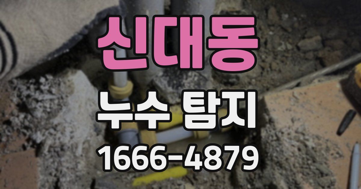 신대동 누수 탐지