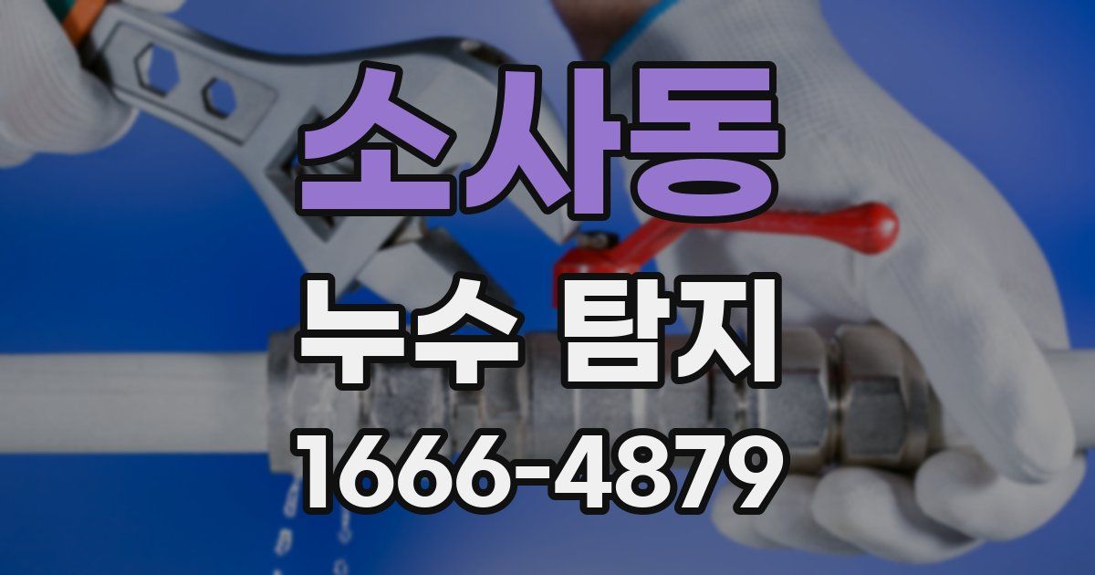 소사동 누수 탐지