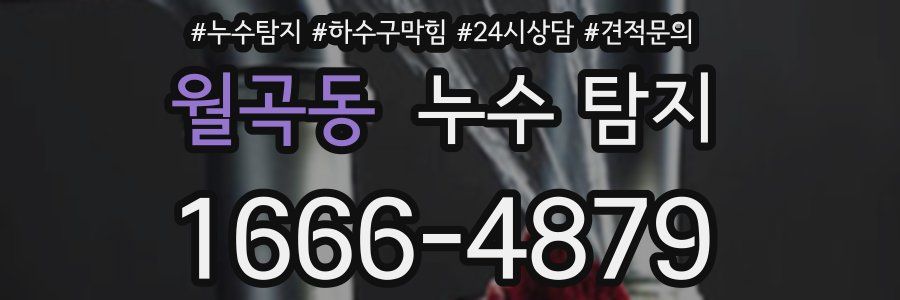월곡동 누수 탐지