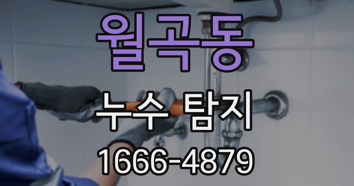 월곡동 누수 탐지