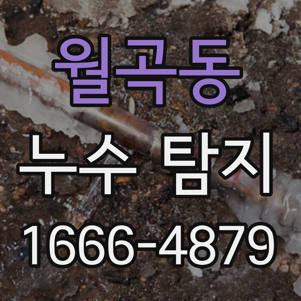월곡동 누수 탐지