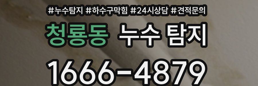 청룡동 누수 탐지