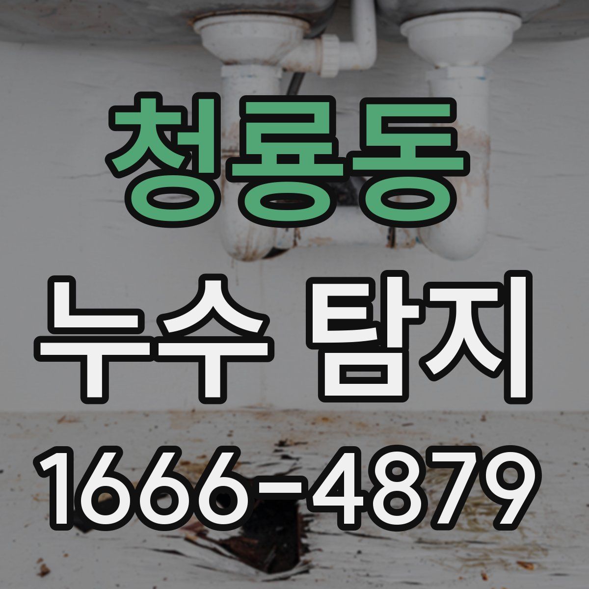 청룡동 누수 탐지