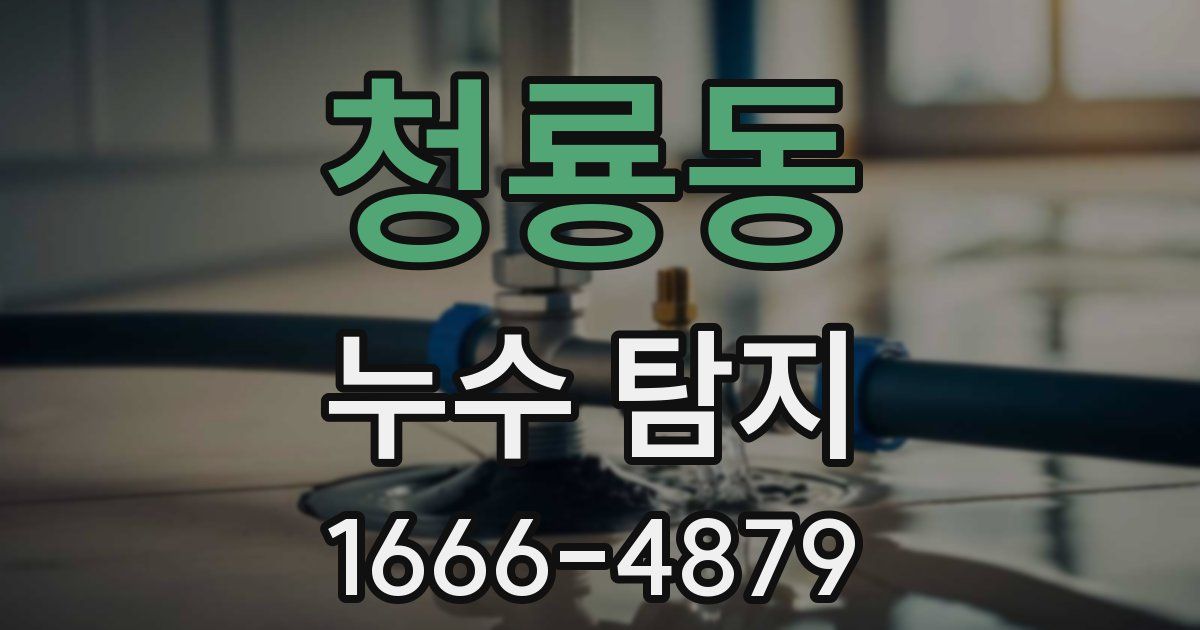 청룡동 누수 탐지