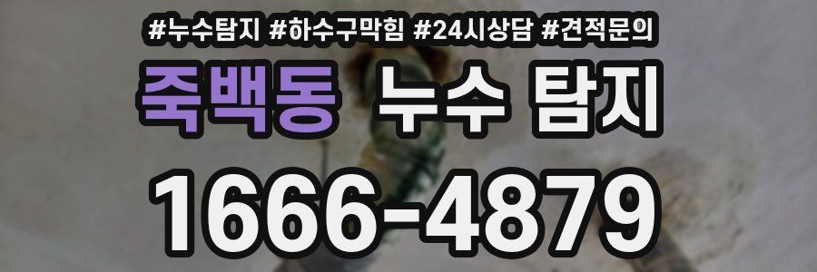 죽백동 누수 탐지