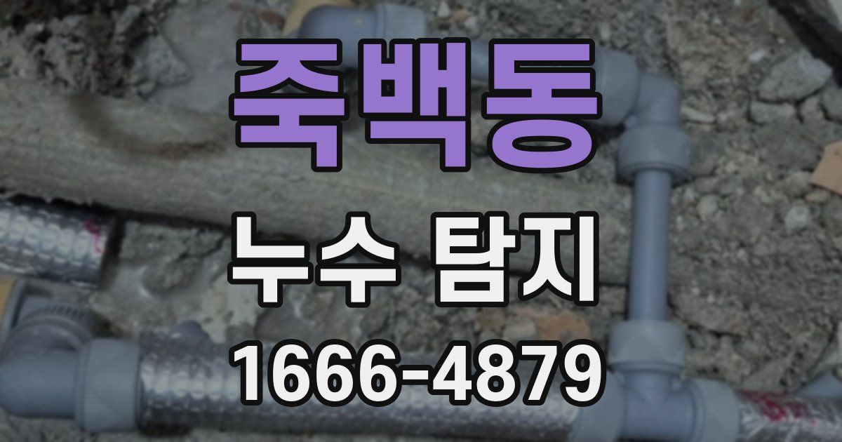 죽백동 누수 탐지
