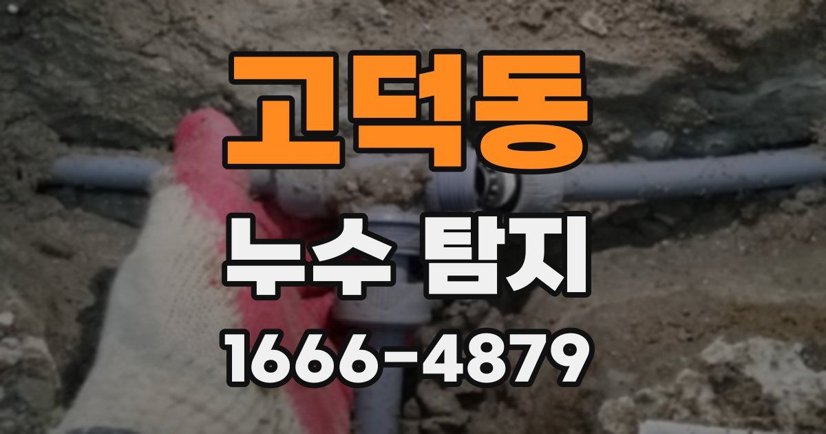 고덕동 누수 탐지