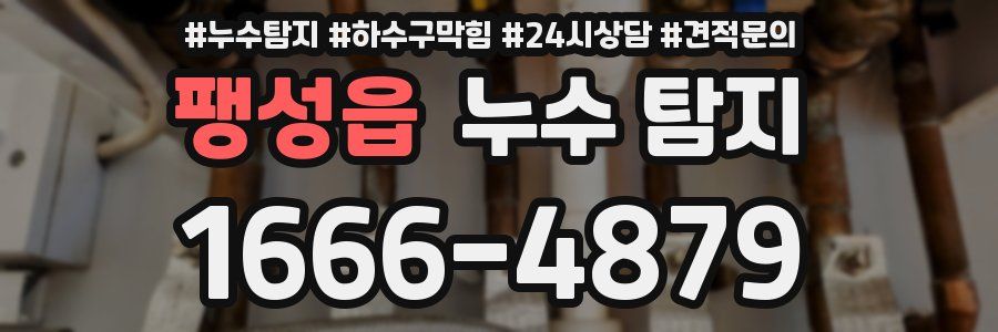 팽성읍 누수 탐지