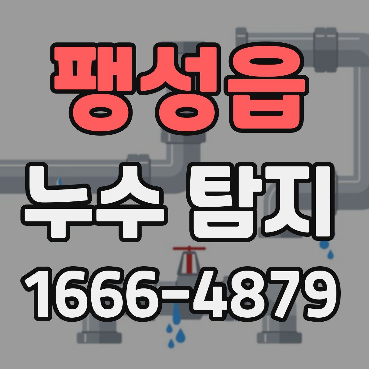팽성읍 누수 탐지
