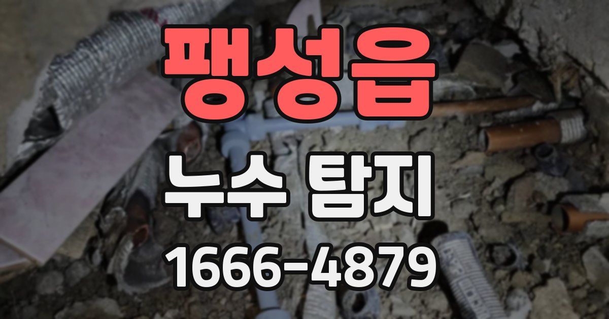 팽성읍 누수 탐지