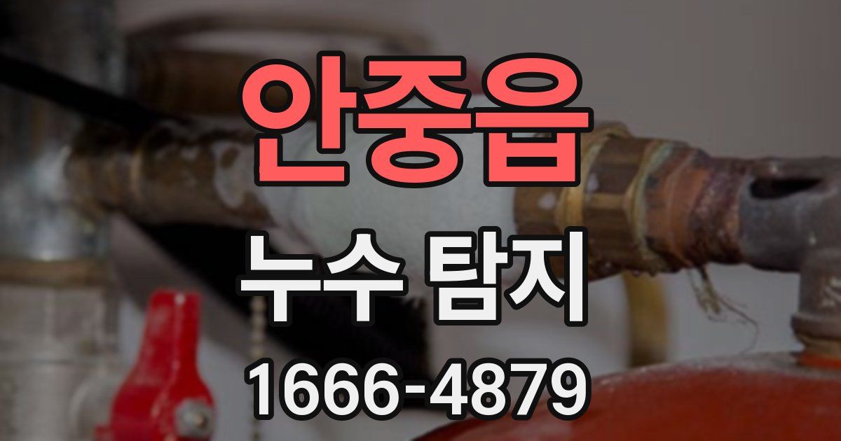 안중읍 누수 탐지