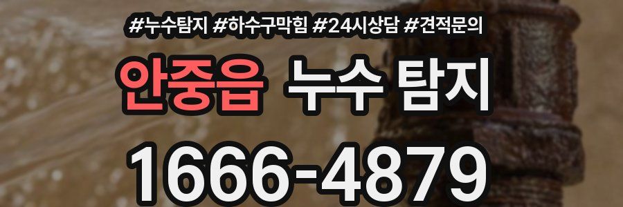 안중읍 누수 탐지