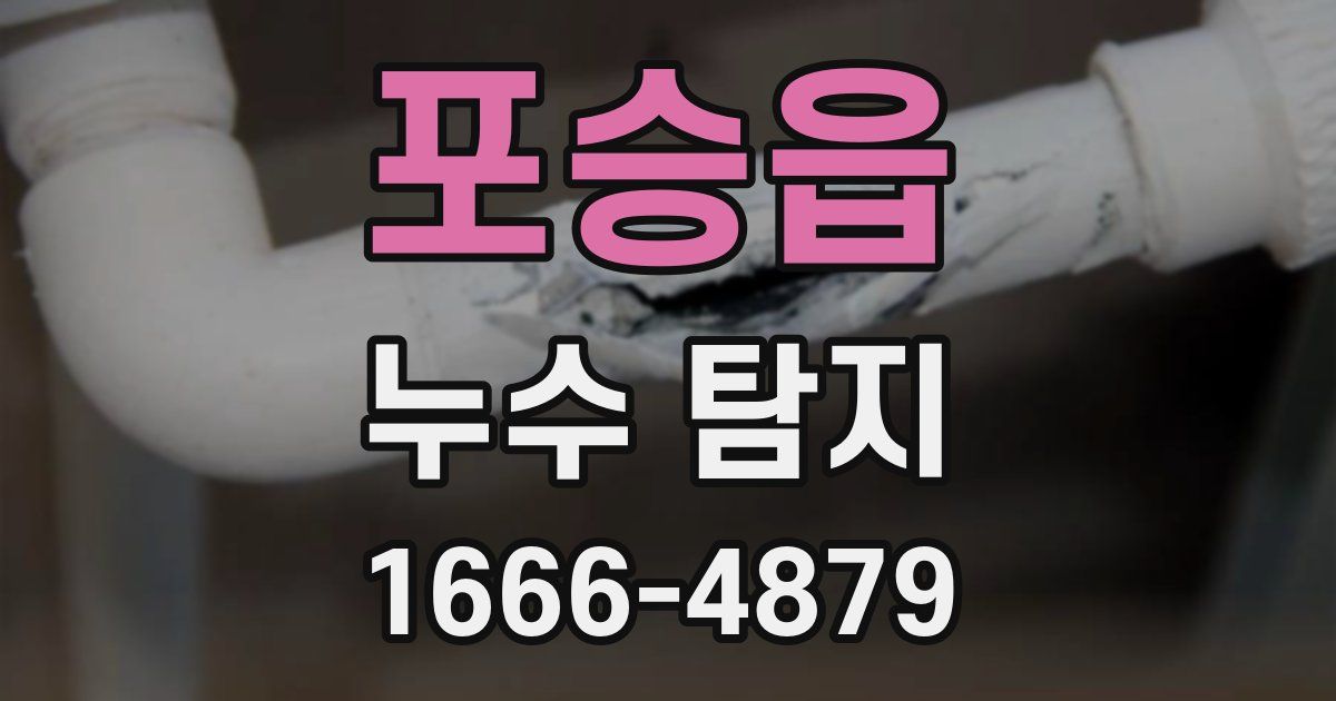 포승읍 누수 탐지