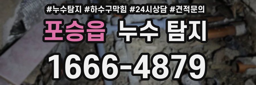 포승읍 누수 탐지