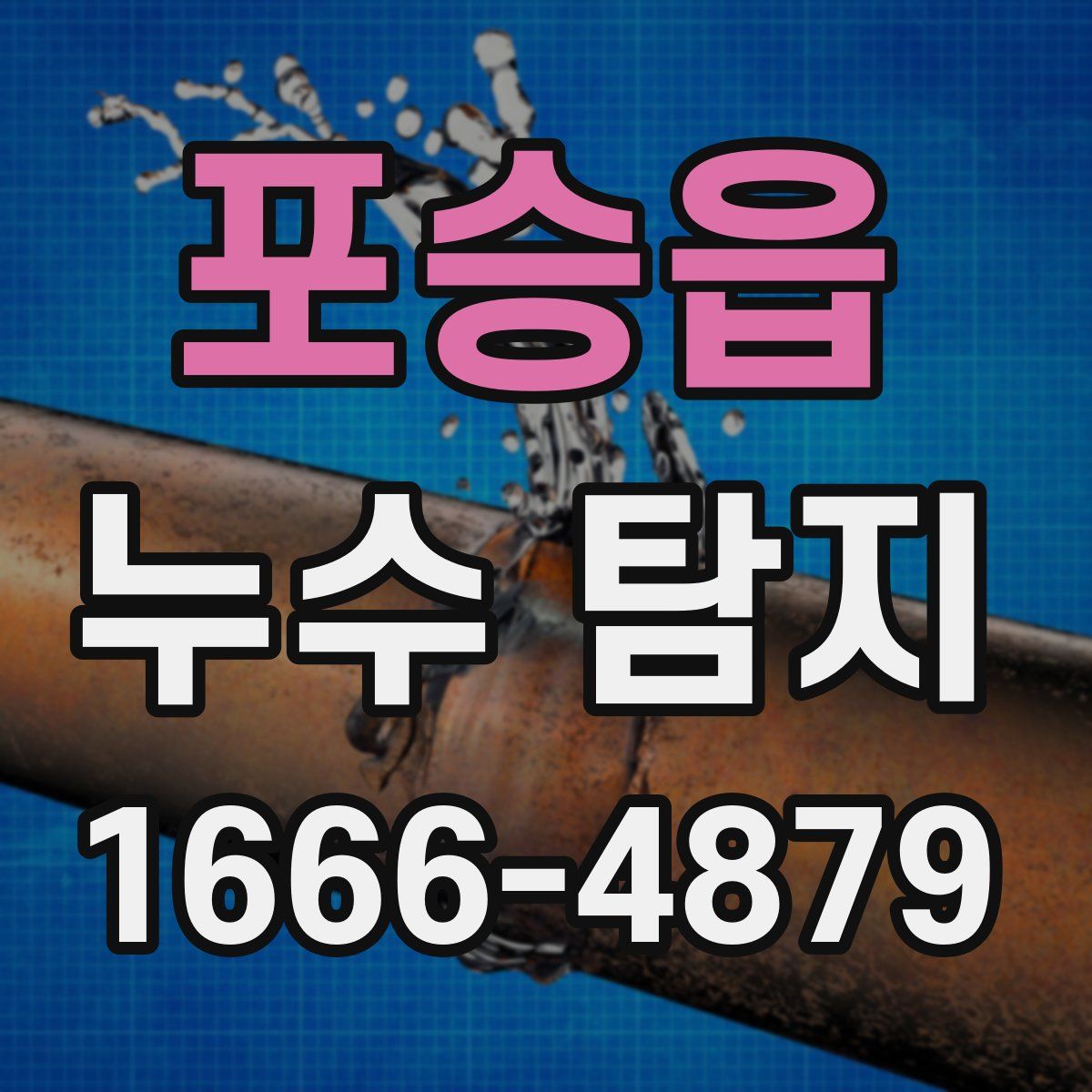 포승읍 누수 탐지