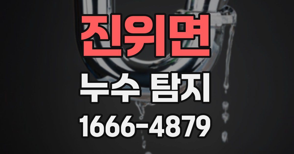 진위면 누수 탐지