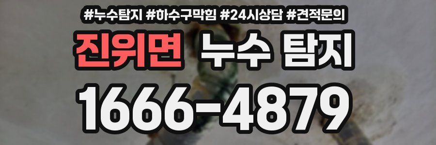 진위면 누수 탐지