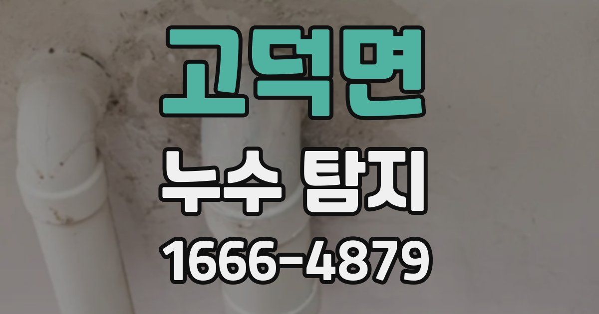 고덕면 누수 탐지