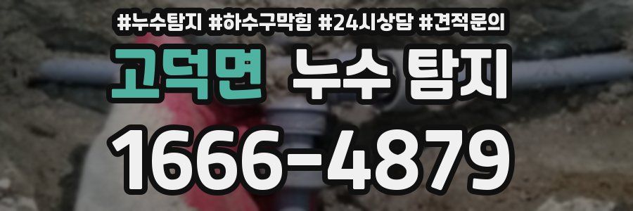 고덕면 누수 탐지