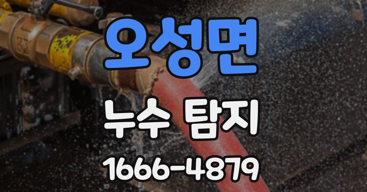오성면 누수 탐지