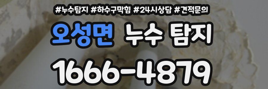 오성면 누수 탐지