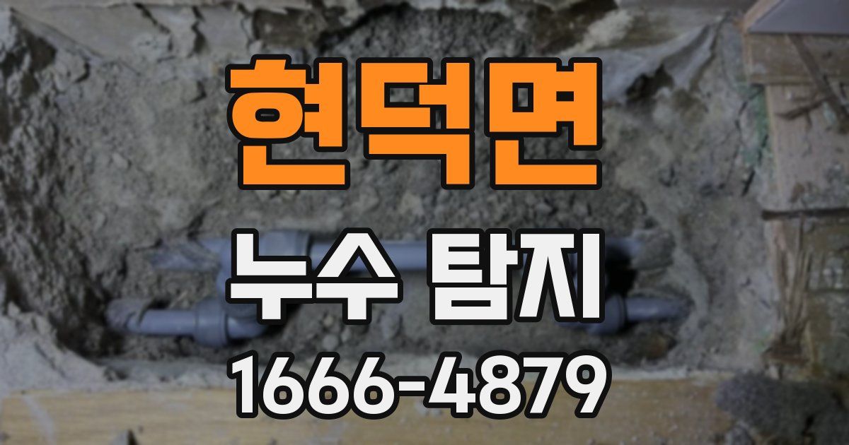 현덕면 누수 탐지
