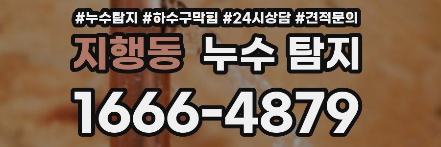 지행동 누수 탐지