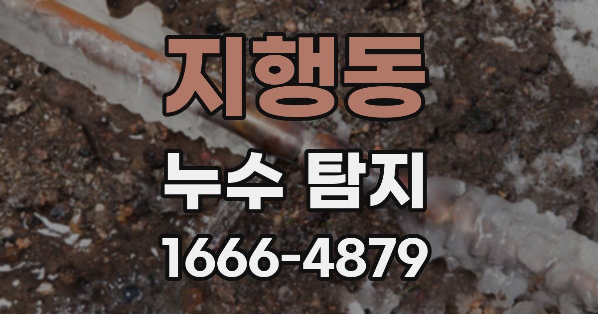 지행동 누수 탐지