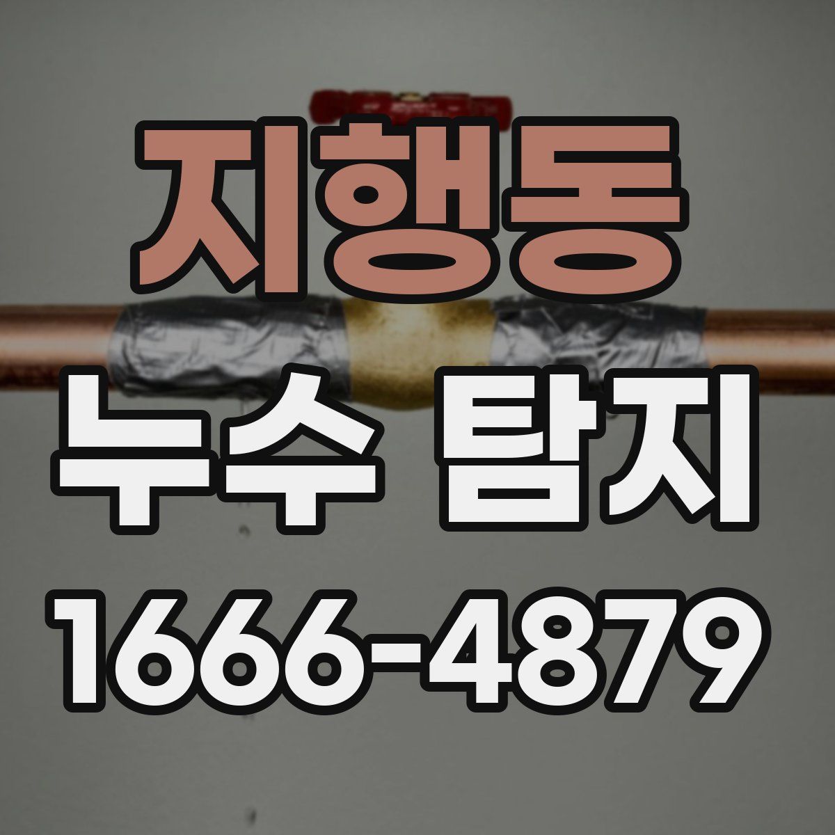 지행동 누수 탐지