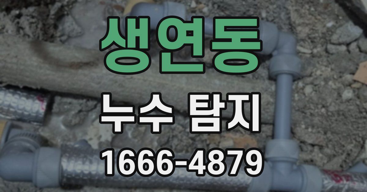 생연동 누수 탐지