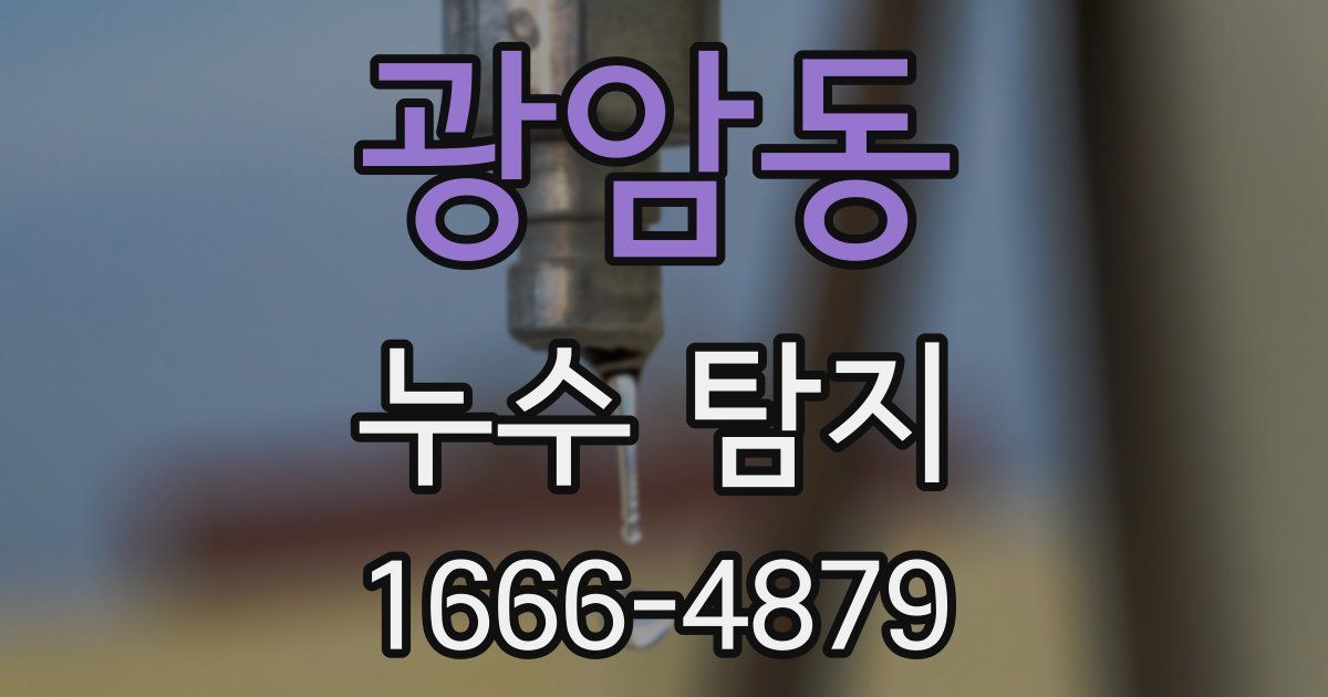 광암동 누수 탐지