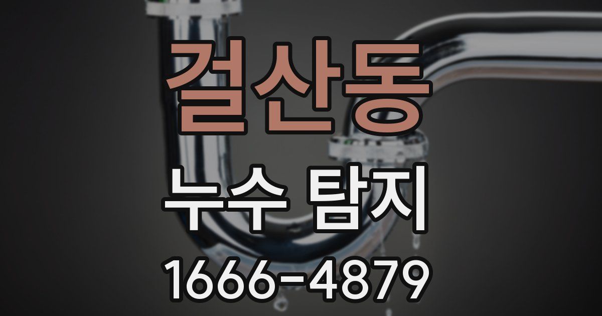 걸산동 누수 탐지
