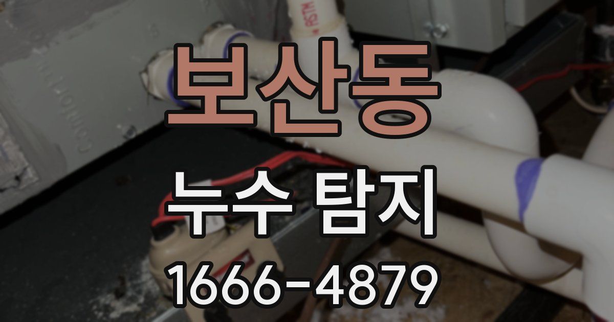 보산동 누수 탐지