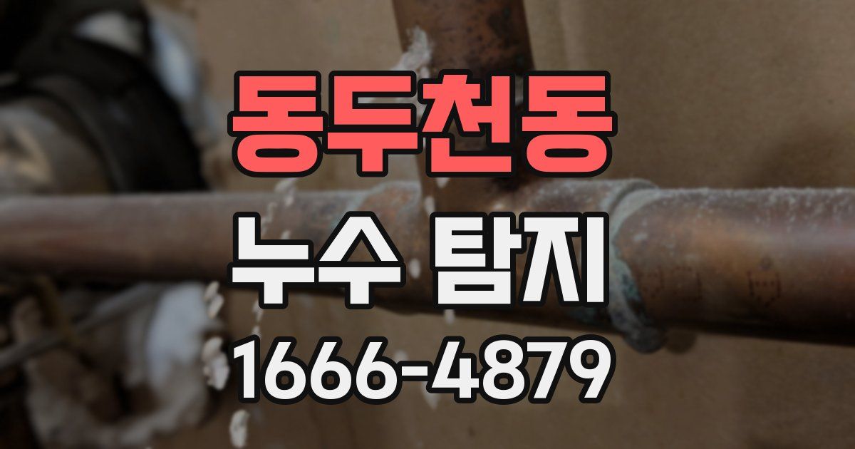 동두천동 누수 탐지