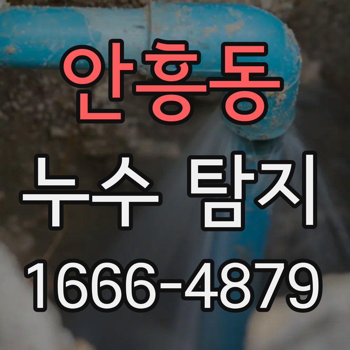 안흥동 누수 탐지