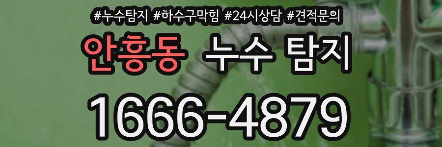 안흥동 누수 탐지