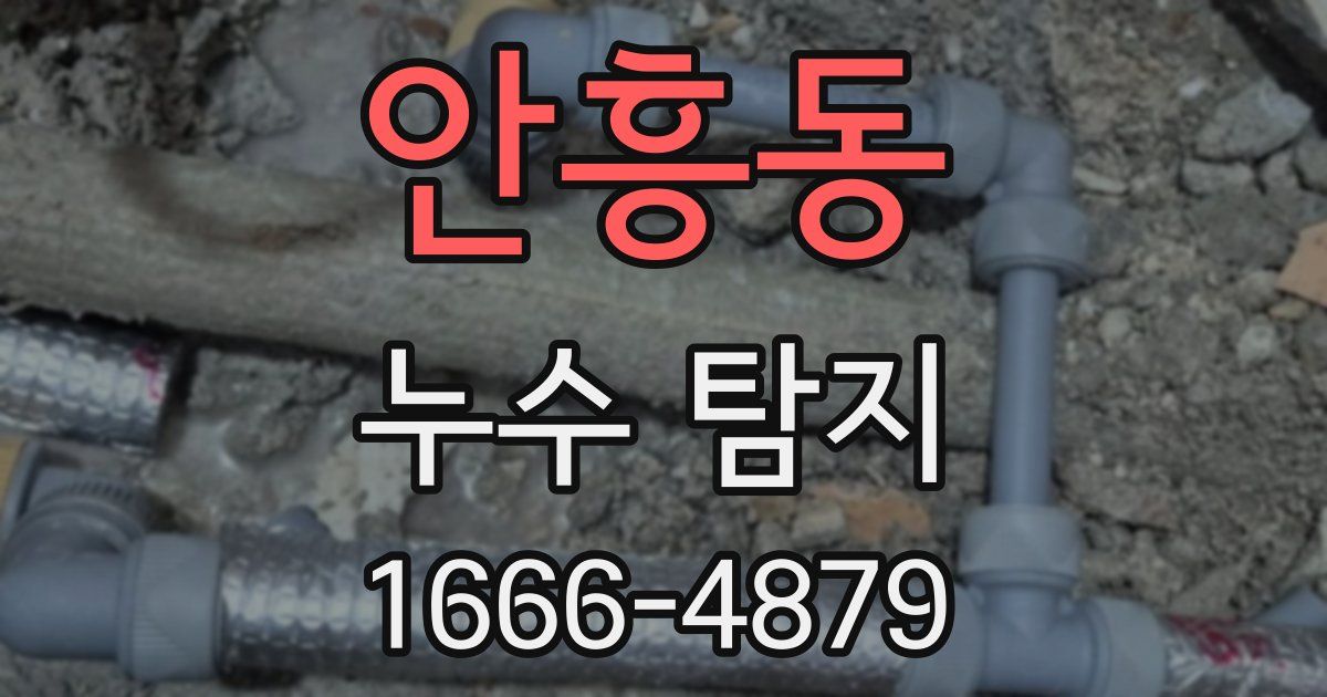 안흥동 누수 탐지