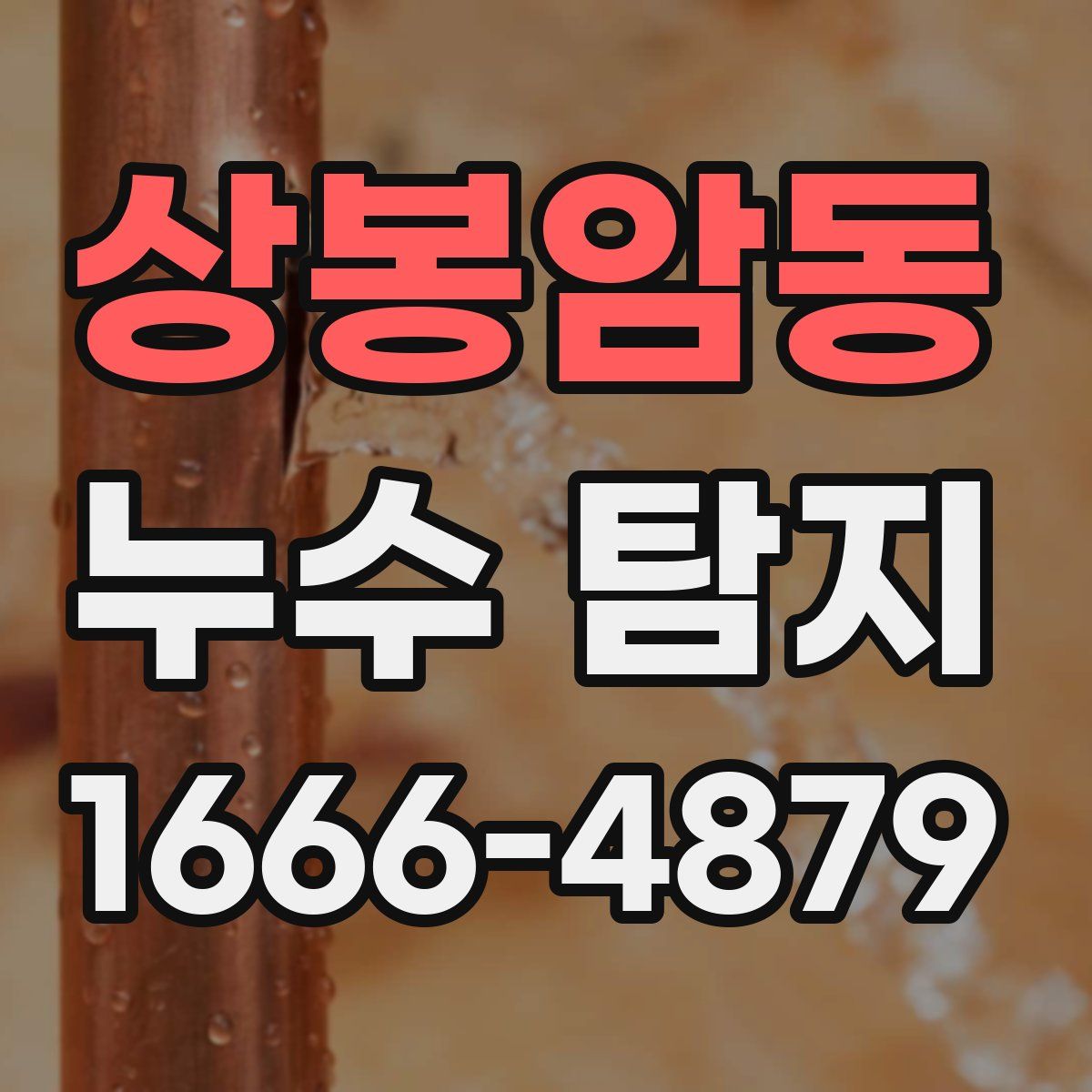상봉암동 누수 탐지