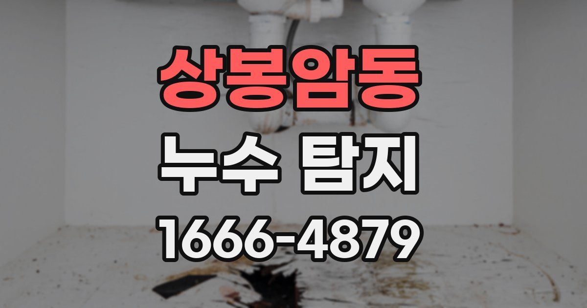 상봉암동 누수 탐지