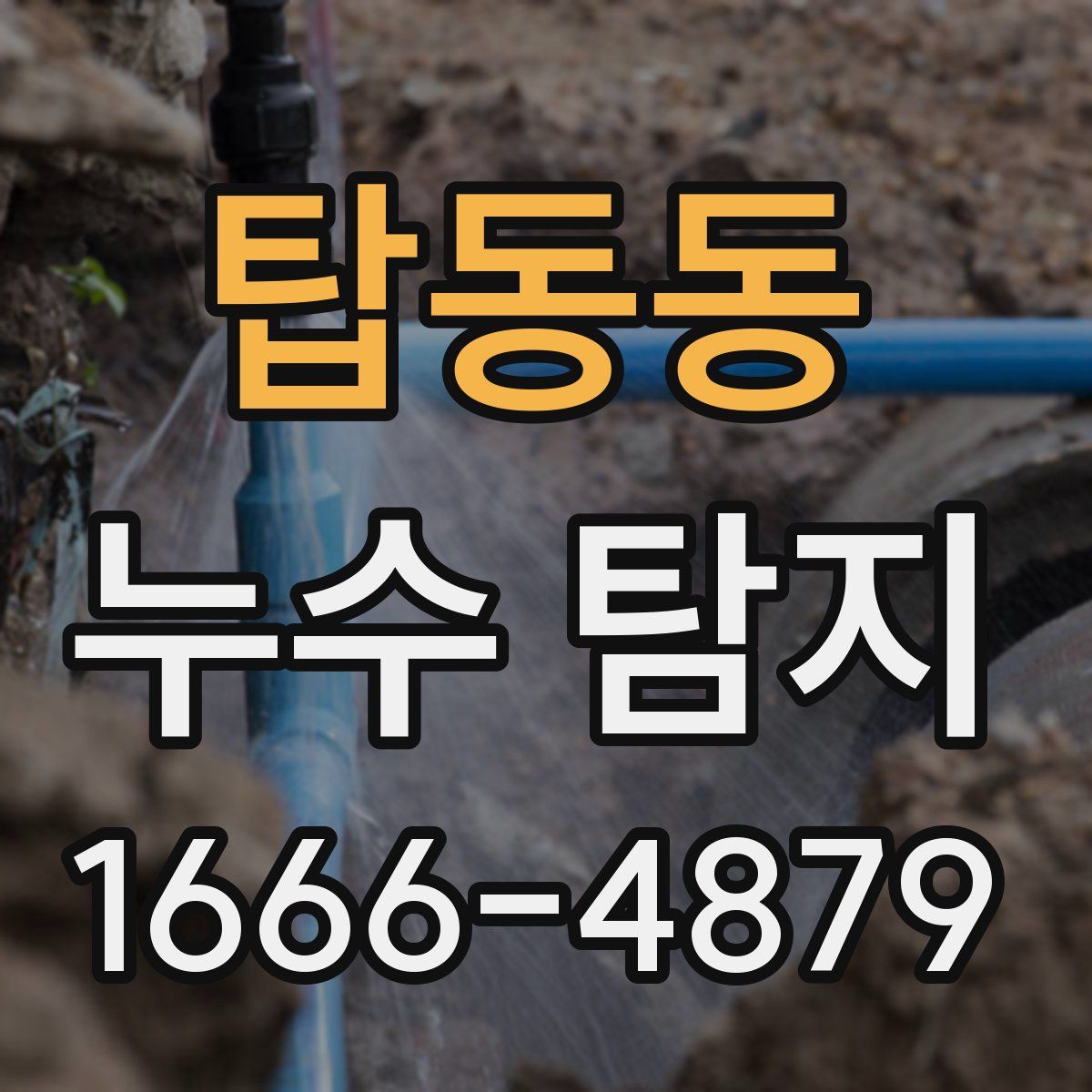 탑동동 누수 탐지