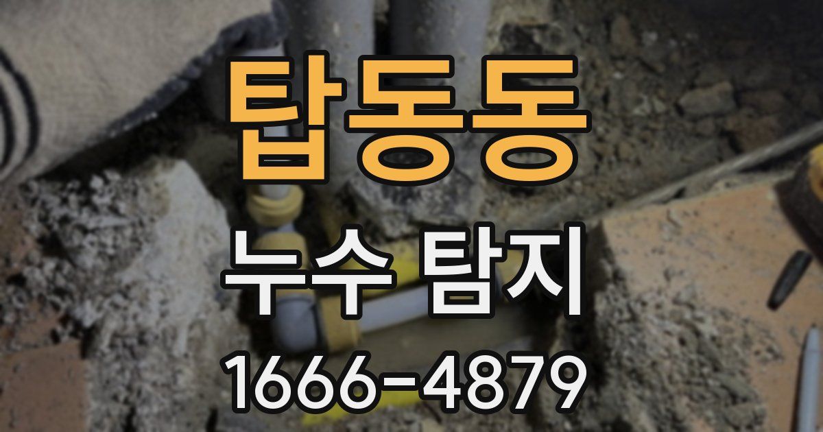 탑동동 누수 탐지