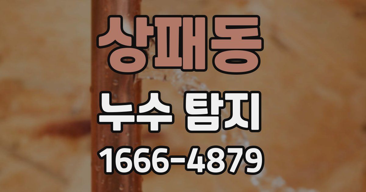 상패동 누수 탐지