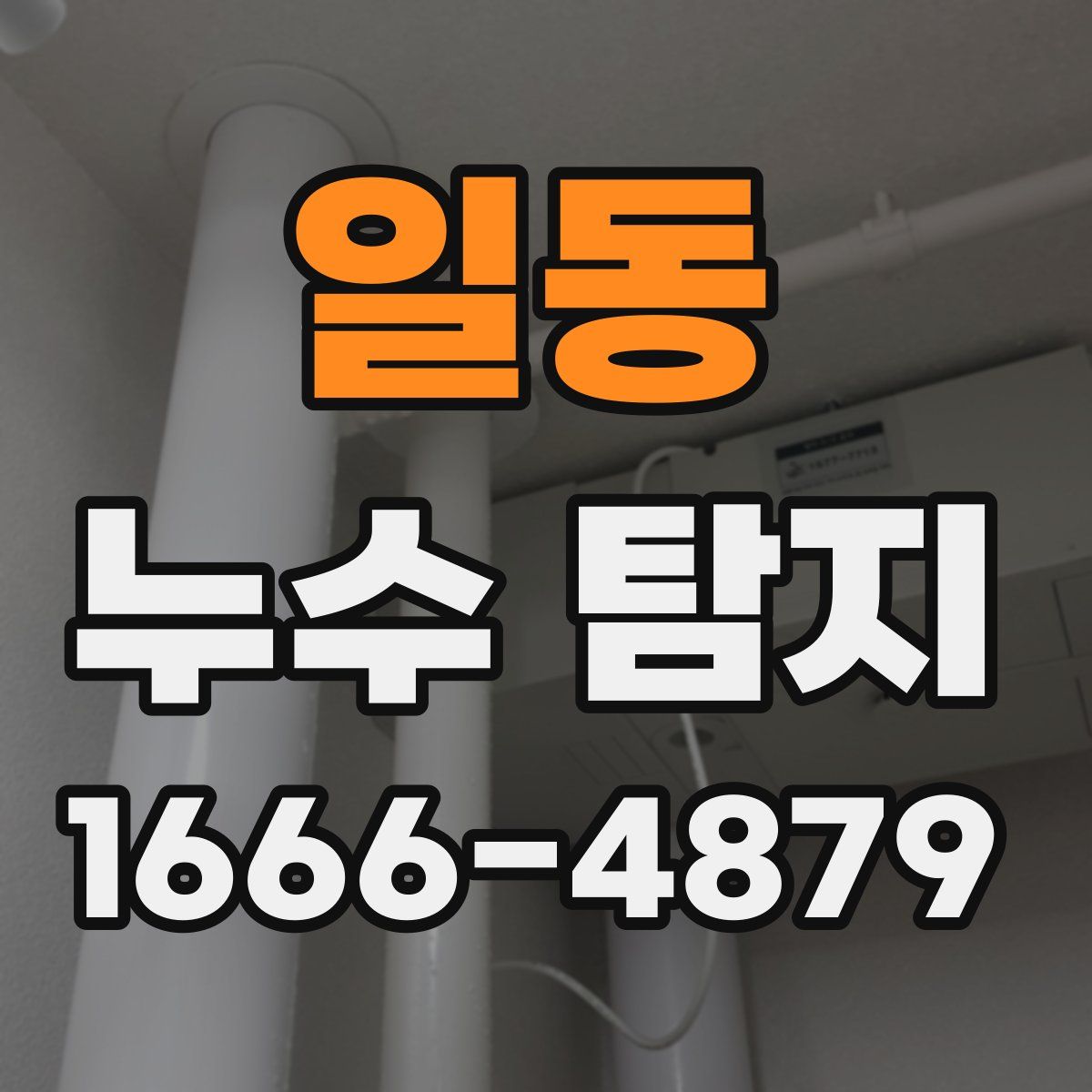 일동 누수 탐지