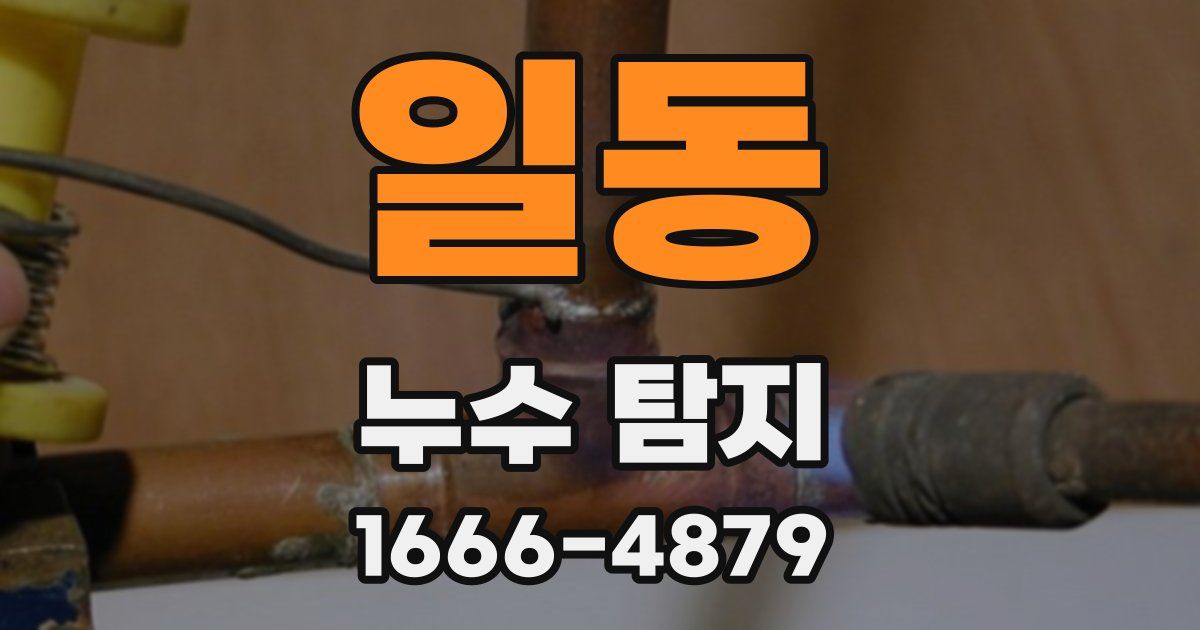 일동 누수 탐지