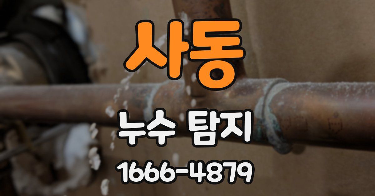 사동 누수 탐지
