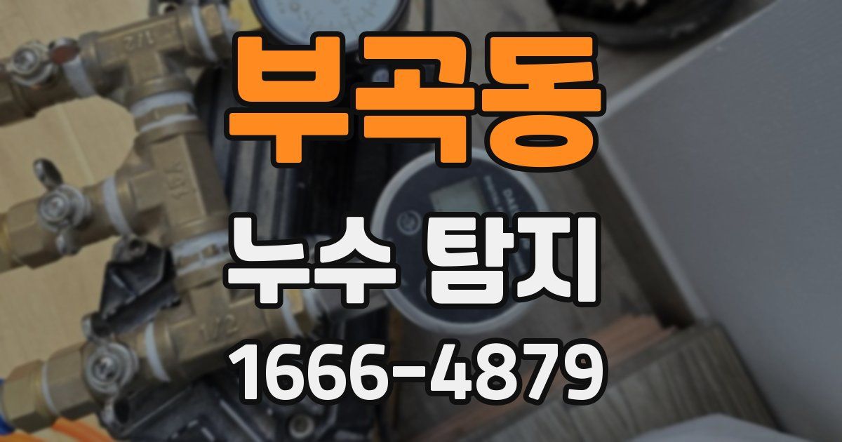 부곡동 누수 탐지