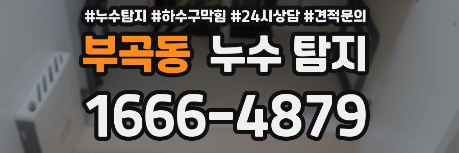 부곡동 누수 탐지