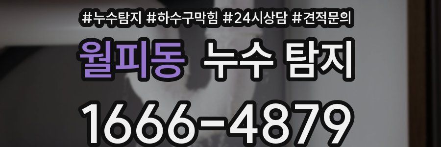 월피동 누수 탐지
